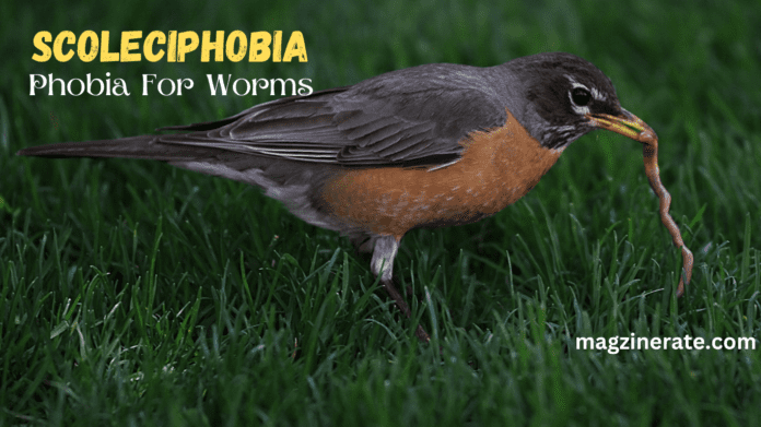 phobia for worms