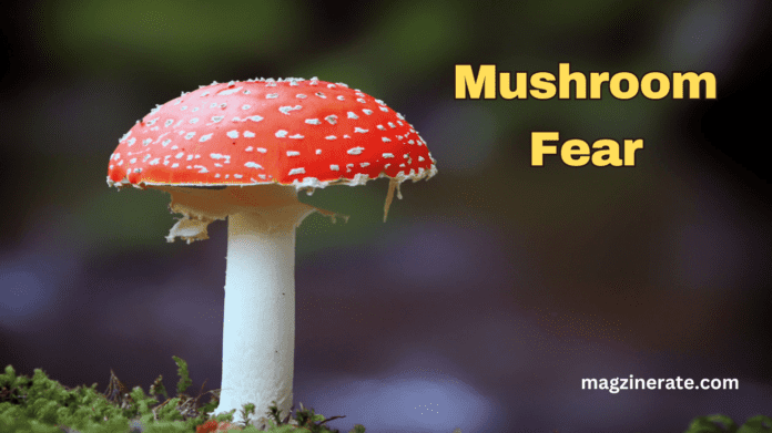 Mushroom Fear
