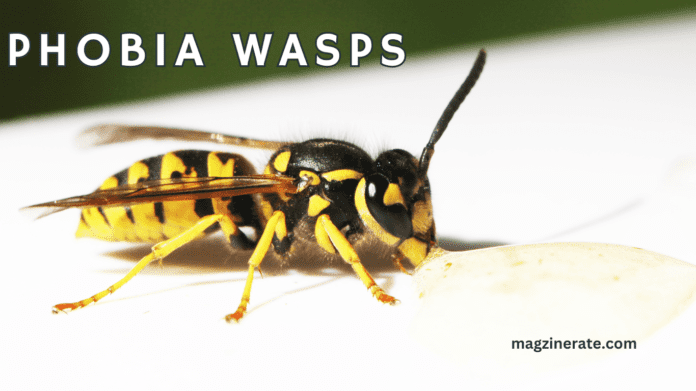 phobia wasps